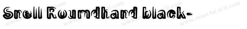 Snell Roumdhand black字体转换